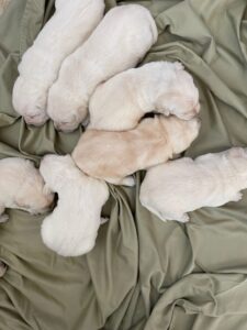 6 boy and 4 girls